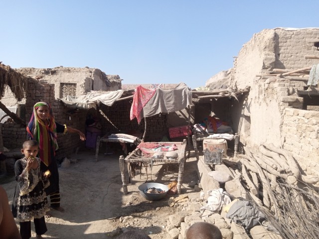 WhatsApp Image 2025-05-09 at 15.43.16