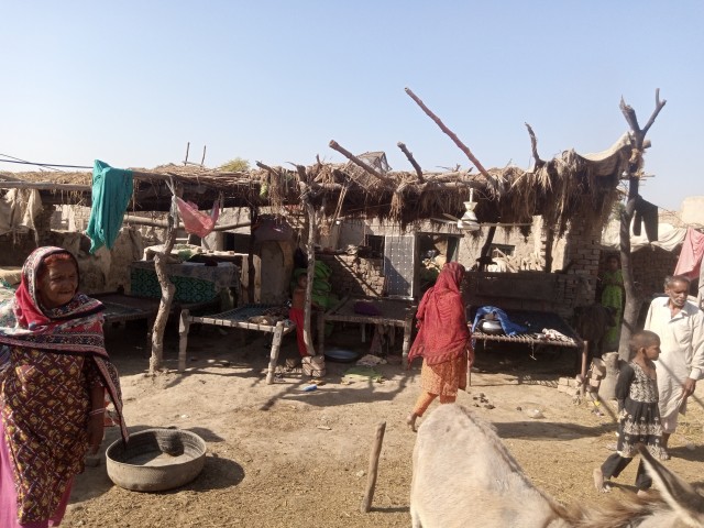 WhatsApp Image 2025-05-09 at 15.43.17