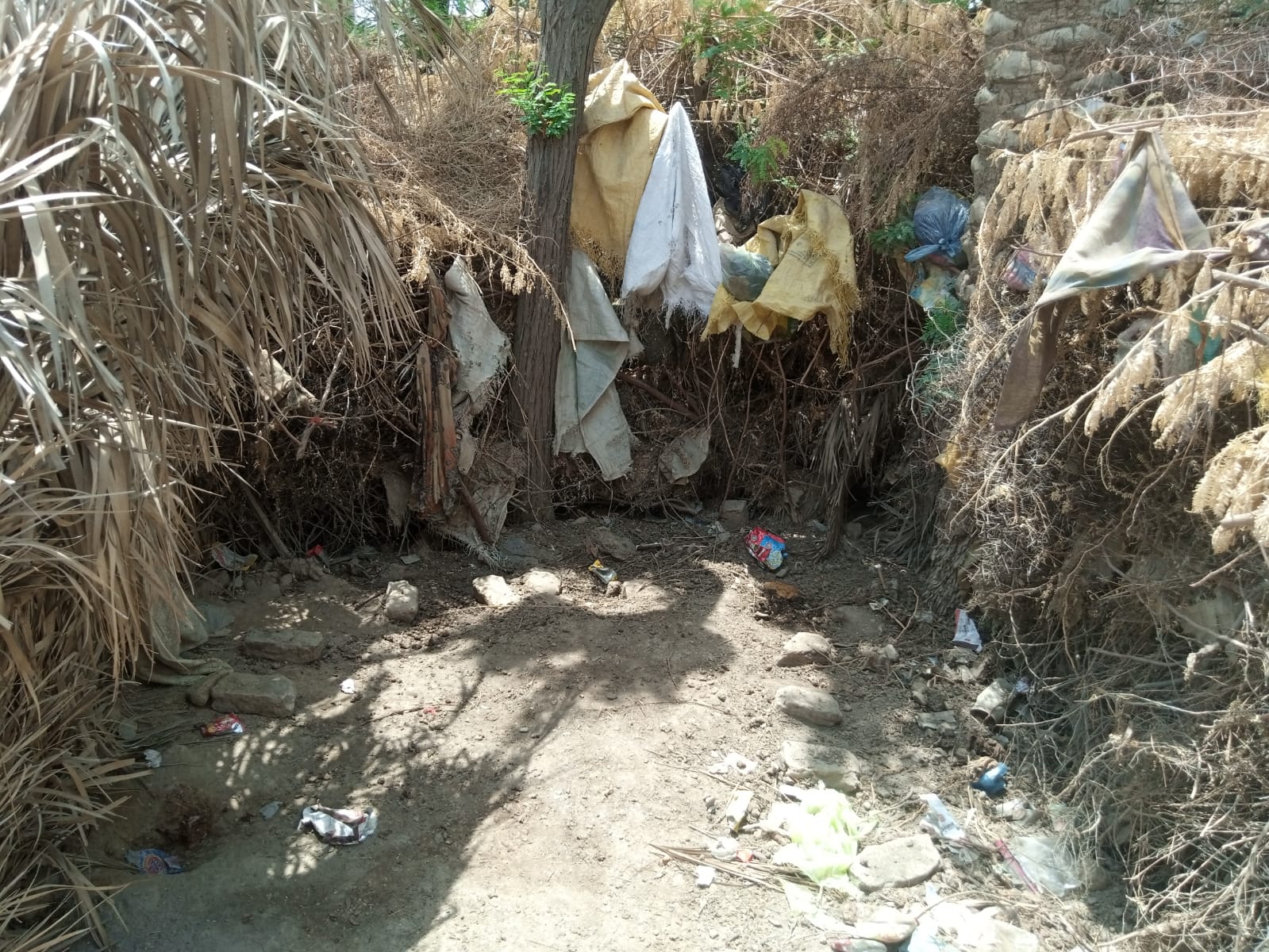 WhatsApp Image 2025-05-09 at 17.02.41