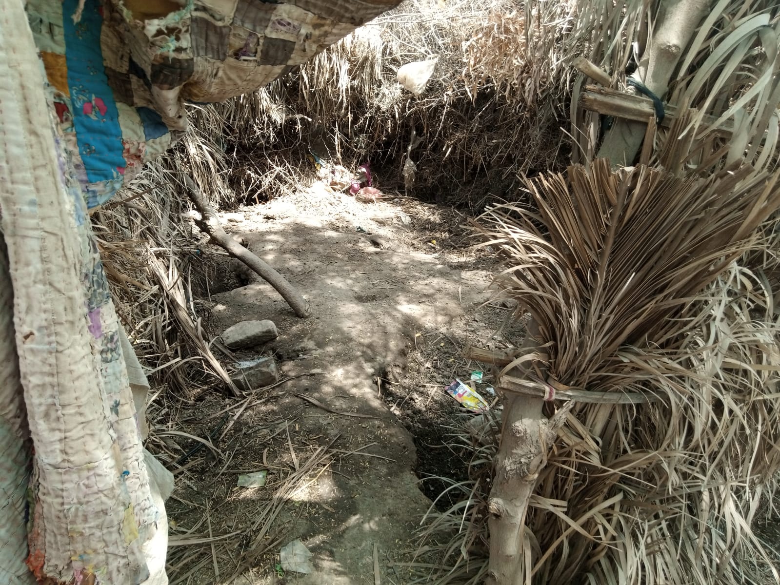 WhatsApp Image 2025-05-09 at 17.02.42