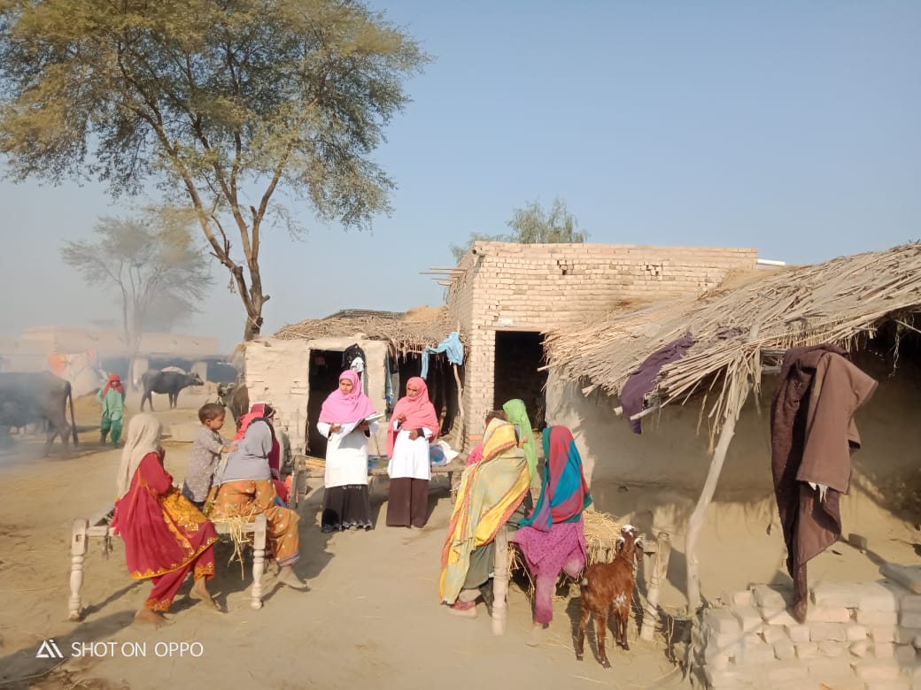 WhatsApp Image 2025-05-09 at 17.33.11