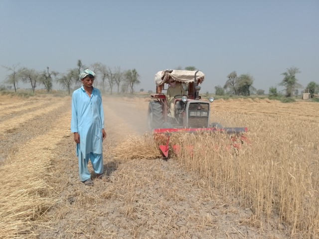 WhatsApp Image 2025-05-09 at 17.35.53 (1)