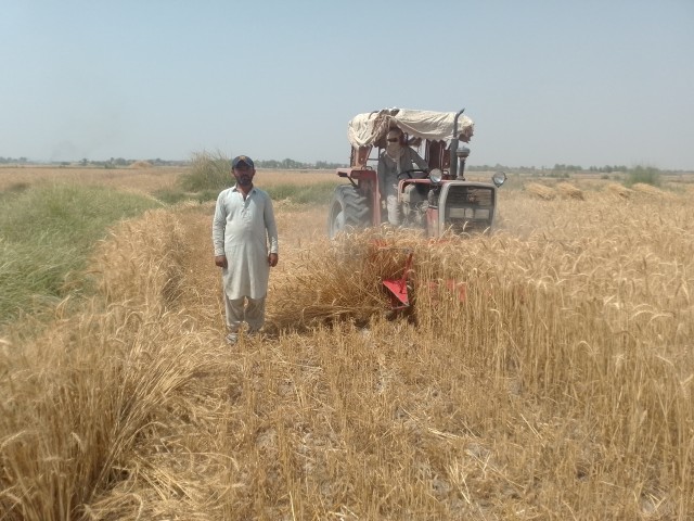 WhatsApp Image 2025-05-09 at 17.35.54 (1)