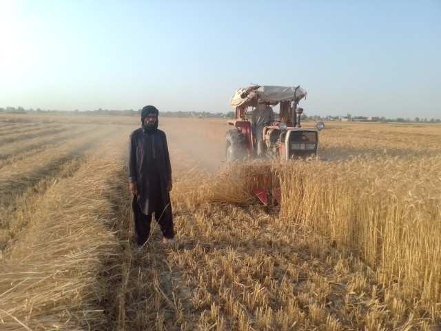 WhatsApp Image 2025-05-09 at 17.35.54