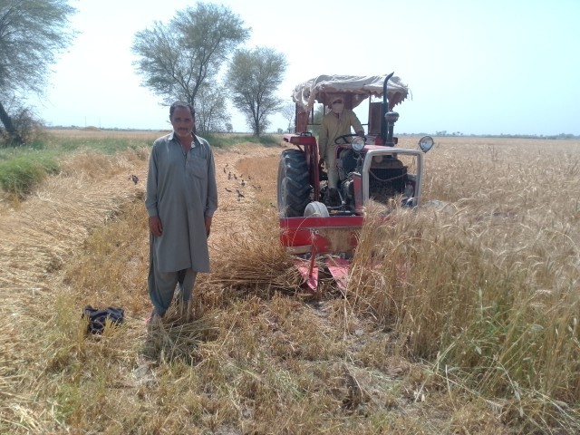 WhatsApp Image 2025-05-09 at 17.35.55