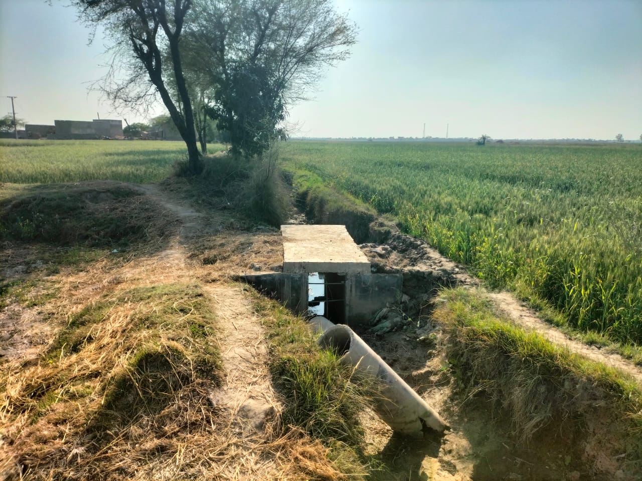 WhatsApp Image 2025-05-09 at 17.38.25 (1)