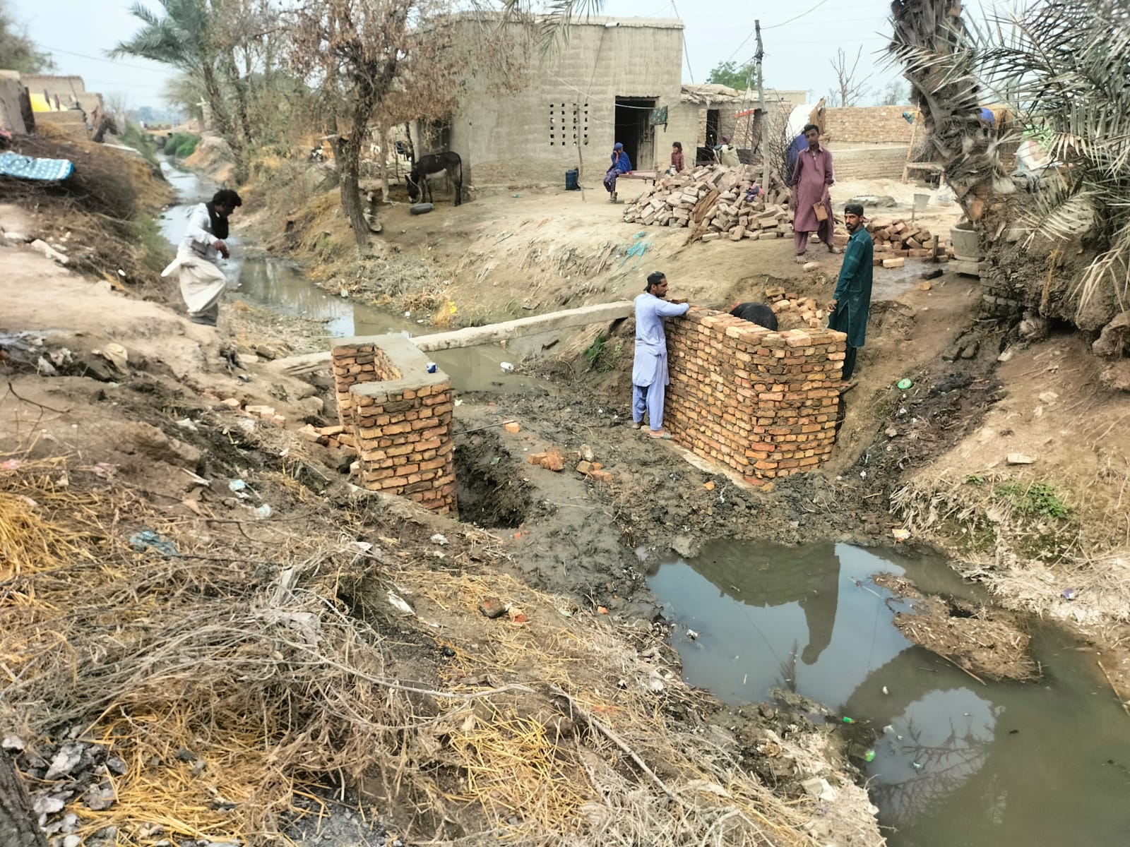 WhatsApp Image 2025-05-09 at 17.38.36